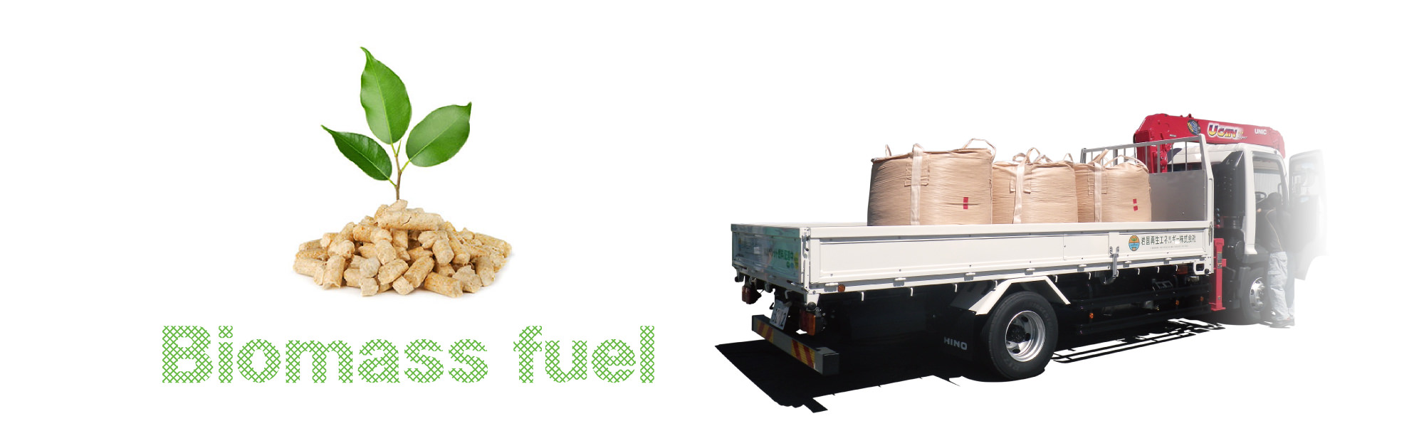 Biomass fuel